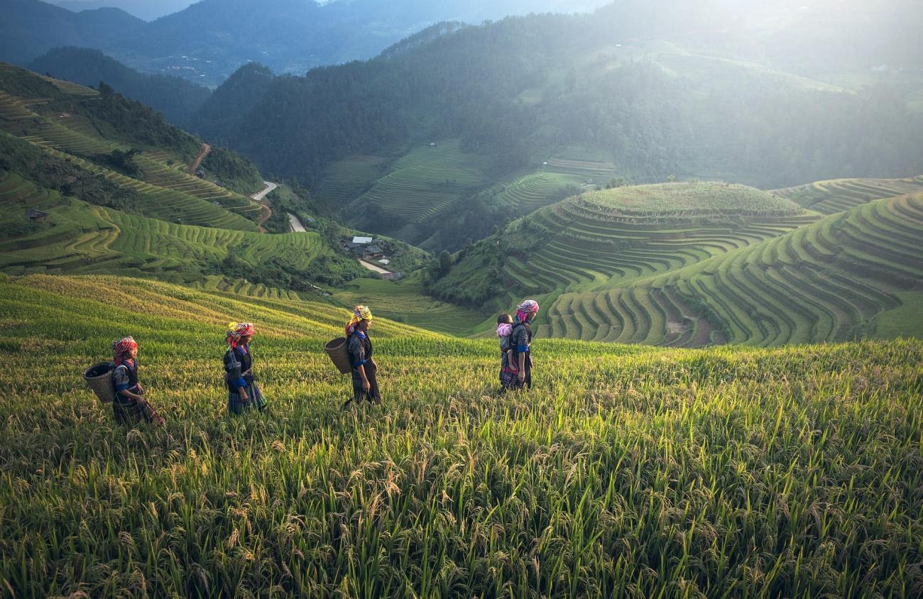 Food, Health & Climate Change