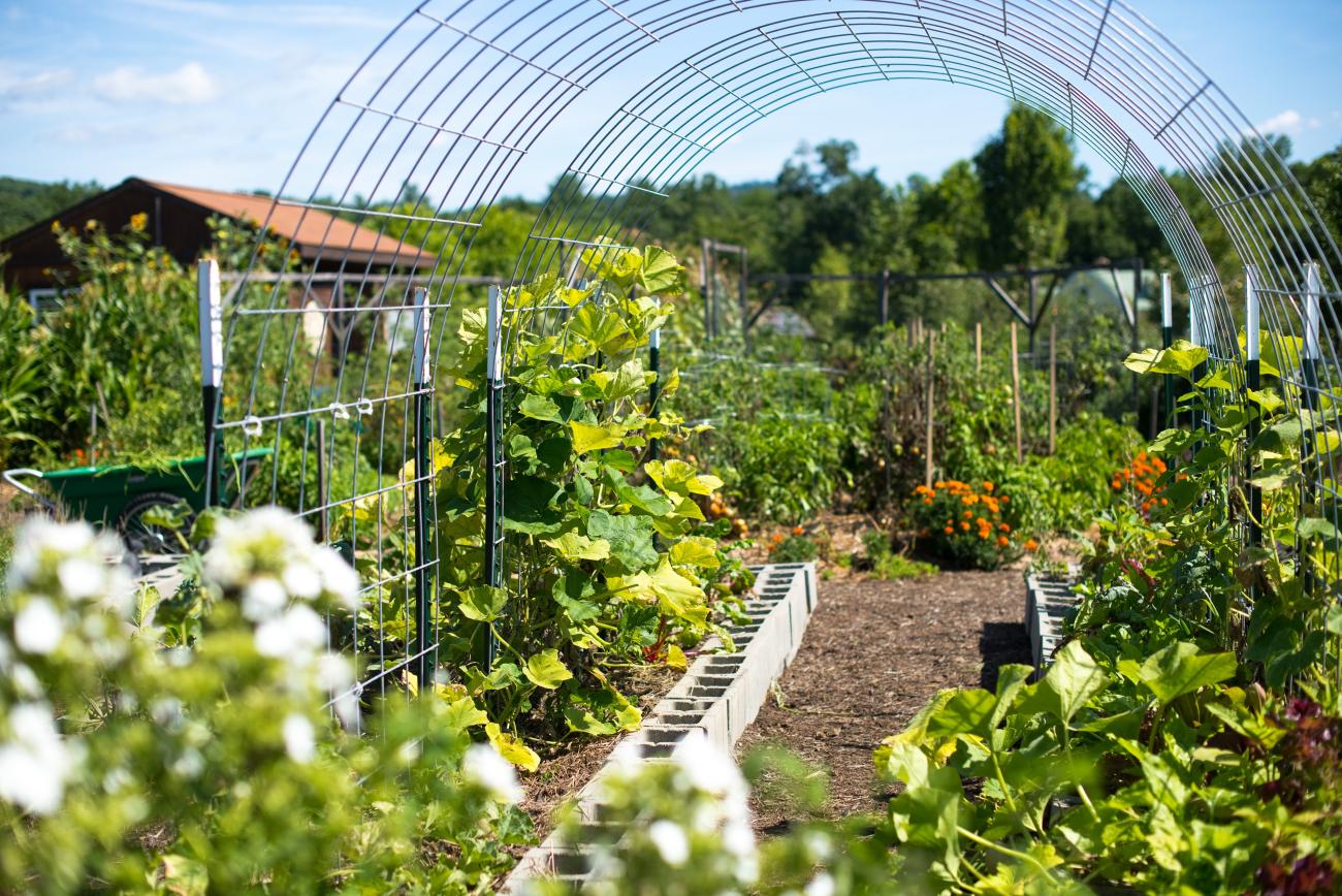 Justice Through School Gardens Impact Outcomes