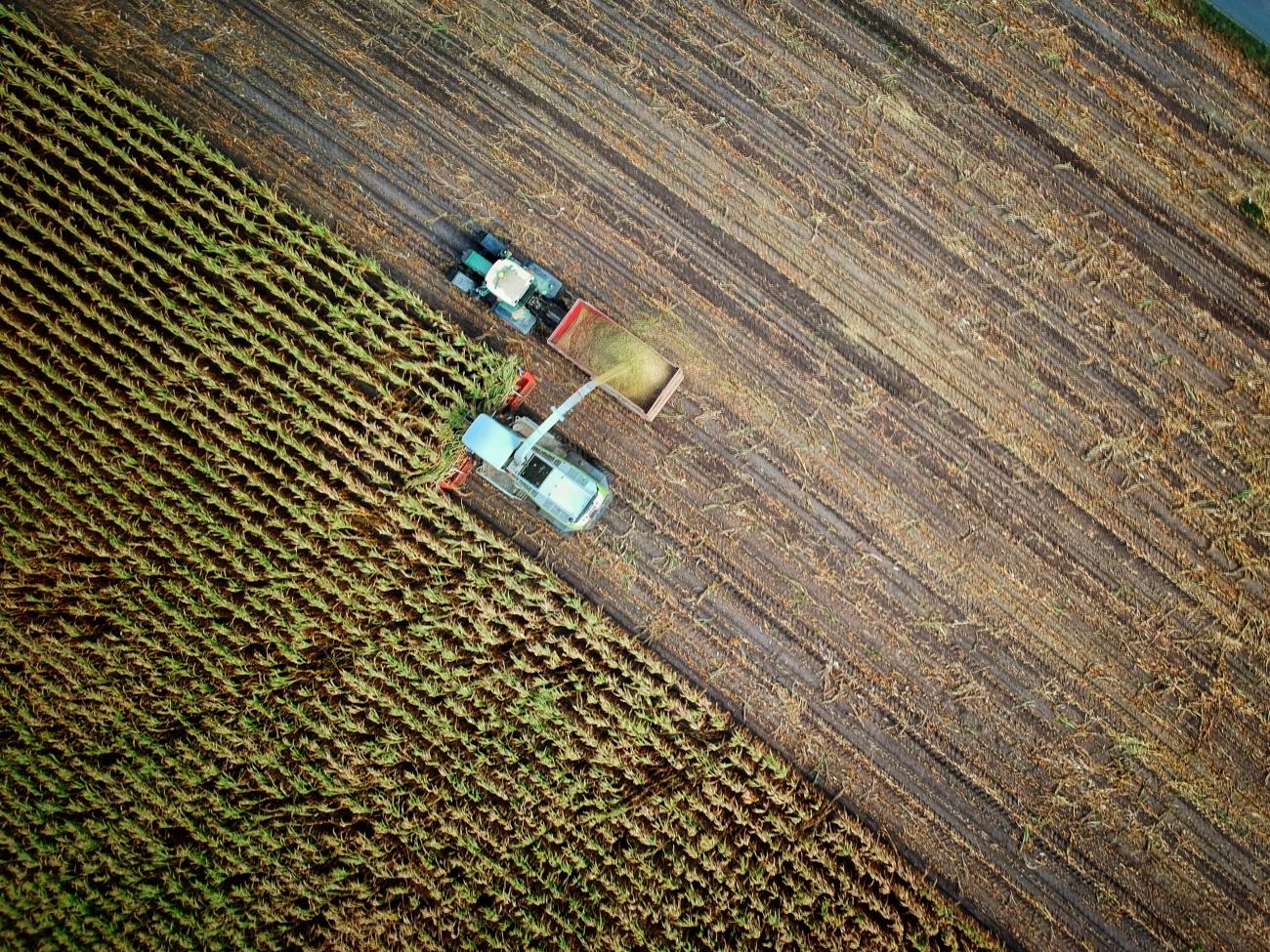 Indigenizing Food Systems