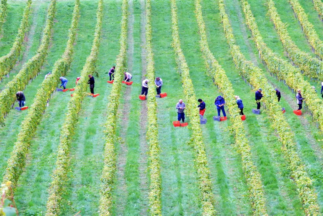 Indigenizing Food Systems