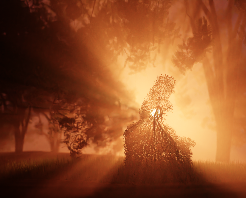 Distorted tree illuminated by backlit sun.