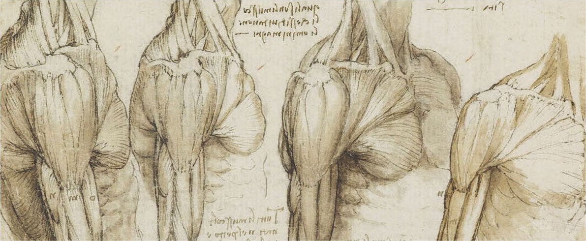 Health Humanities