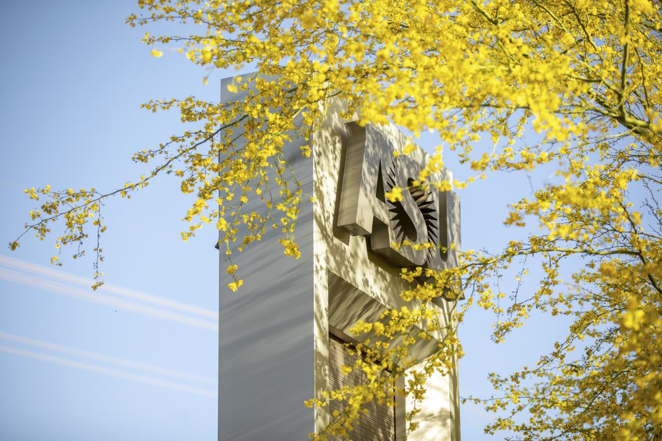 Call for Faculty Participation