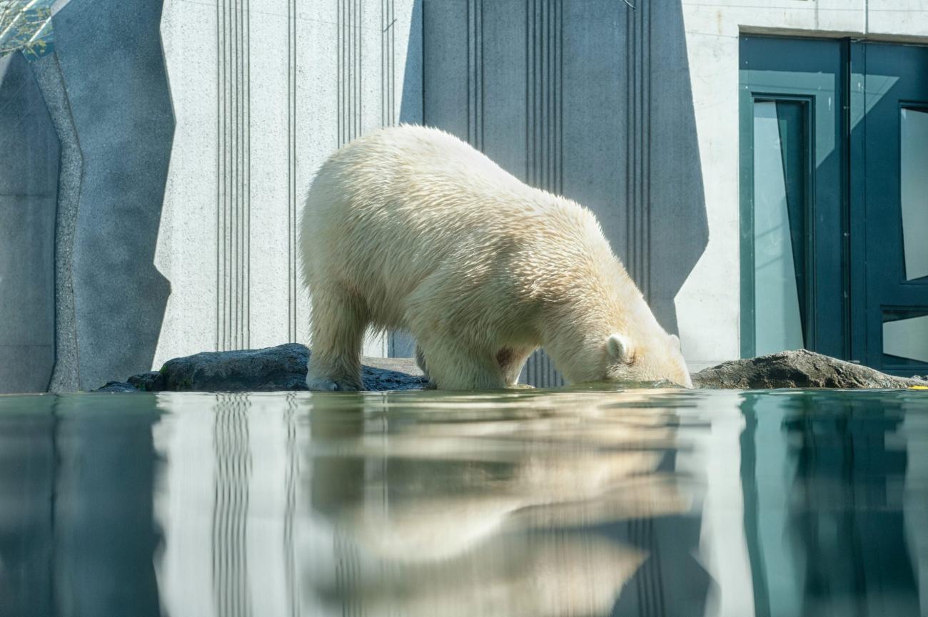 Feeling Climate Uncertainty