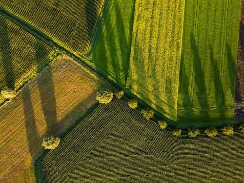 Growing Biodiverse Cultures